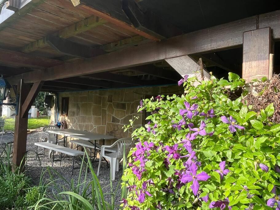 Studio Renove Rdc Terrasse Wepion Namen Buitenkant foto