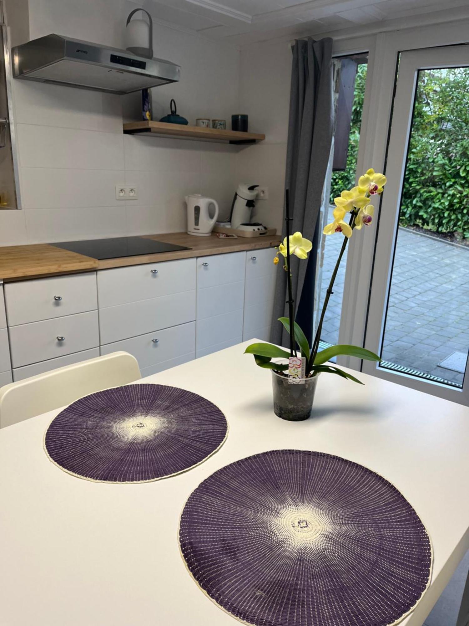Studio Renove Rdc Terrasse Wepion Namen Buitenkant foto